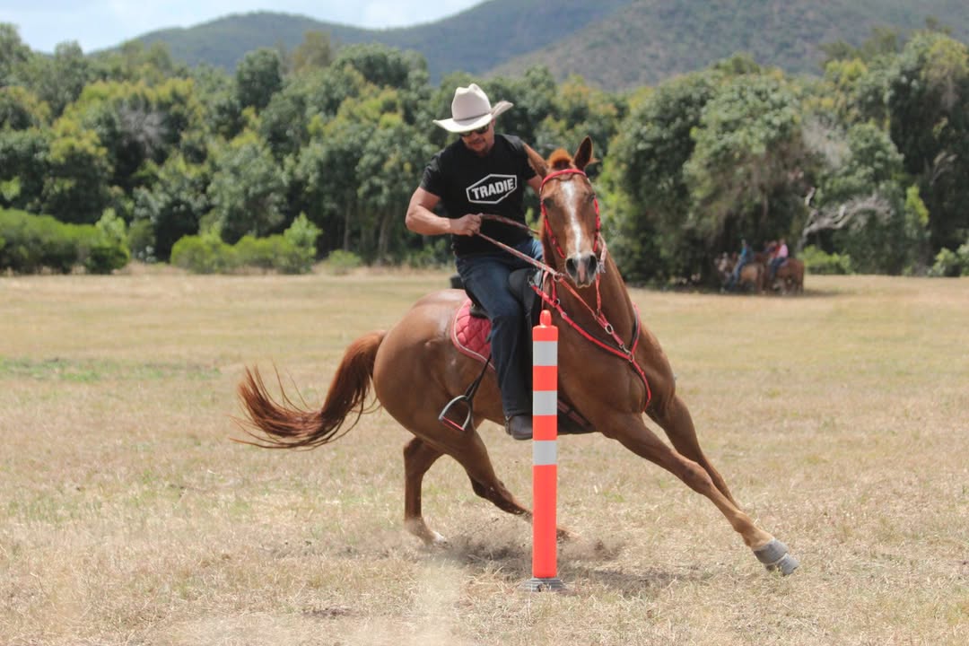 Collaboration leader d'opinion Tradie — équitation